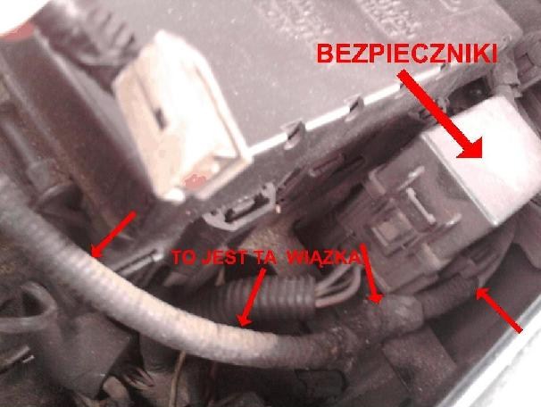 ZLACZE2bis.jpg