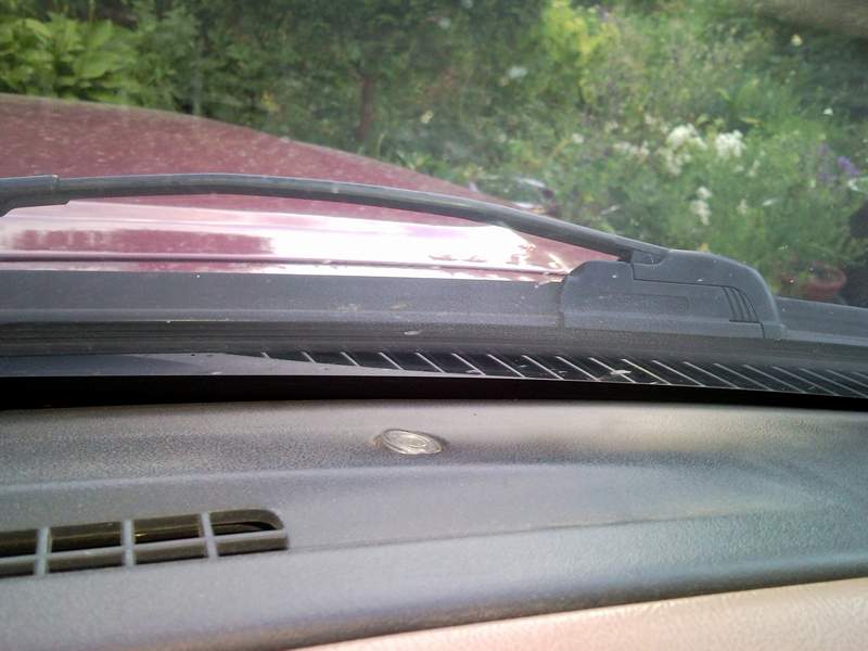 SNC00429.jpg