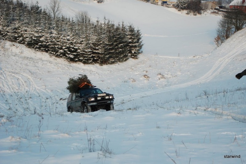 DSC_7854.JPG